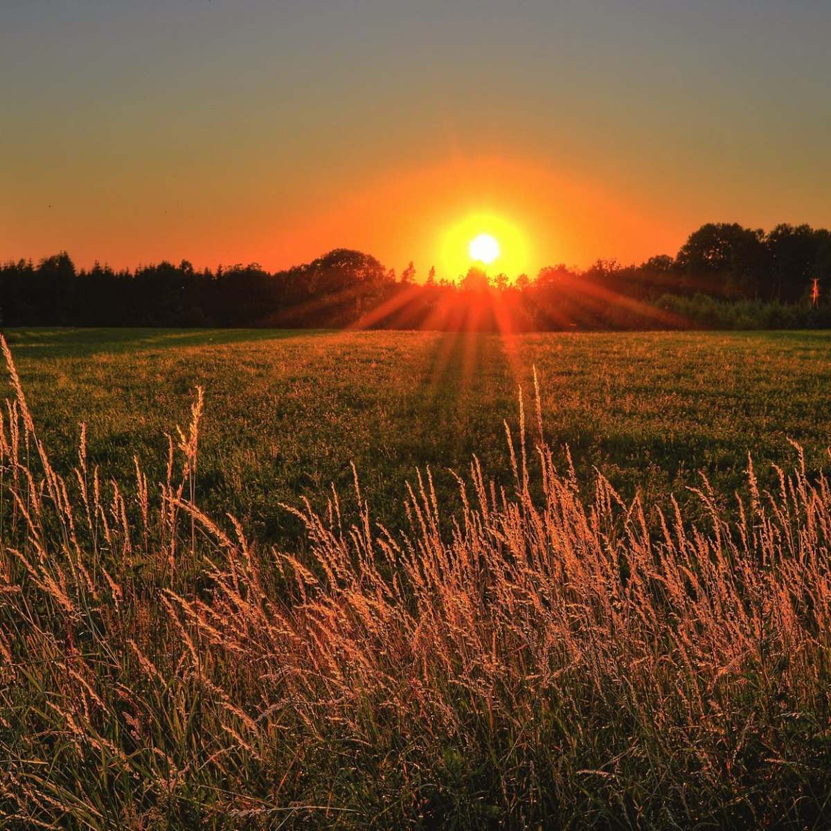 Sommer, Sonne &&nbsp;Sonnenbrand