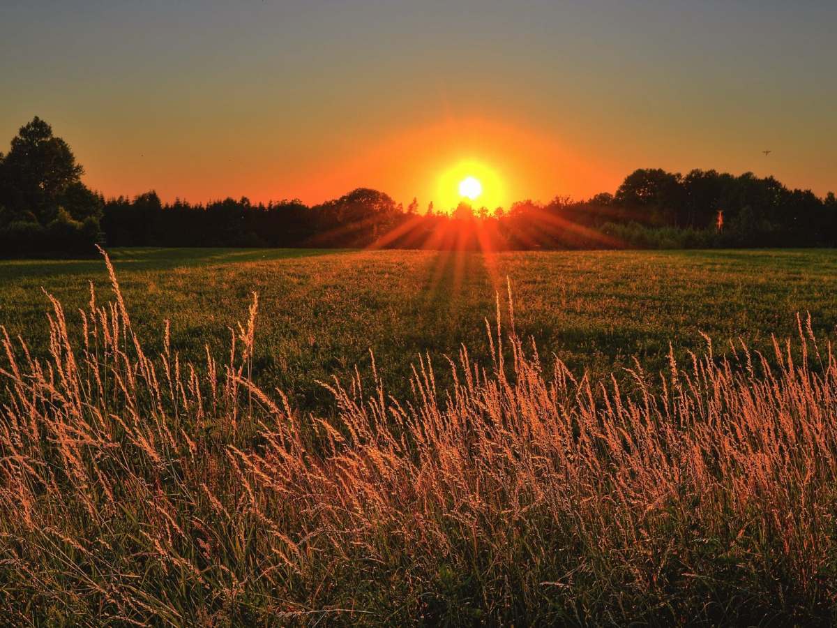Sommer, Sonne &&nbsp;Sonnenbrand